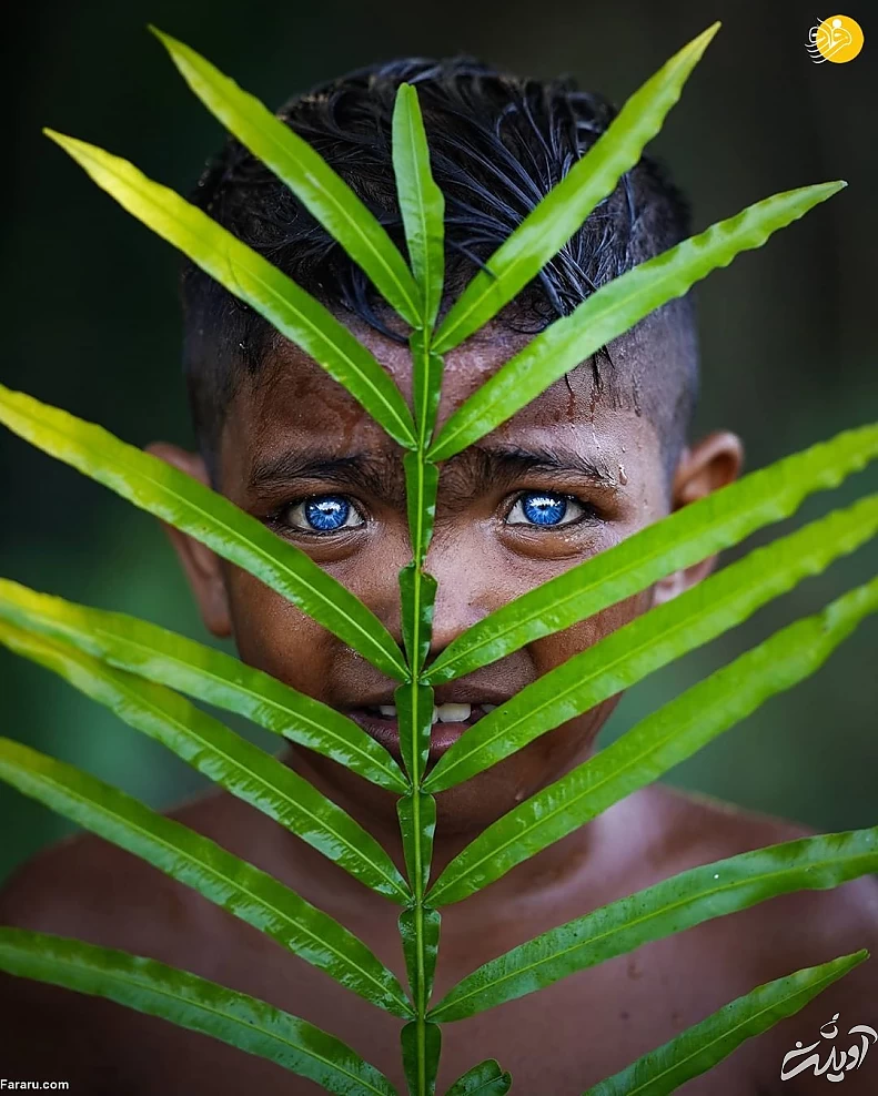 (تصاویر) (تصاویر)